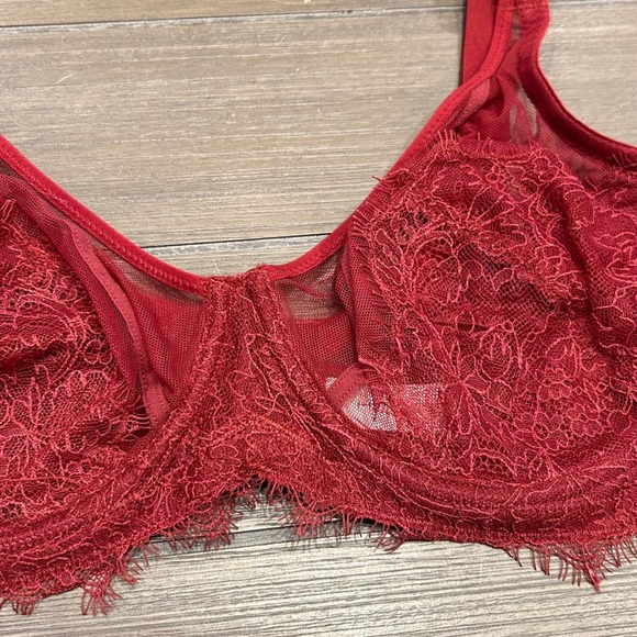 HSIA 34DD Red Lace Unlined Underwire Bra Sheer Sexy Lingerie - Picture 2 of 8